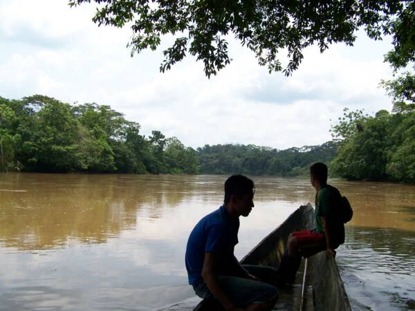 El río Curaray en el parque Nacional Yasuní, Pastaza, Ecuador